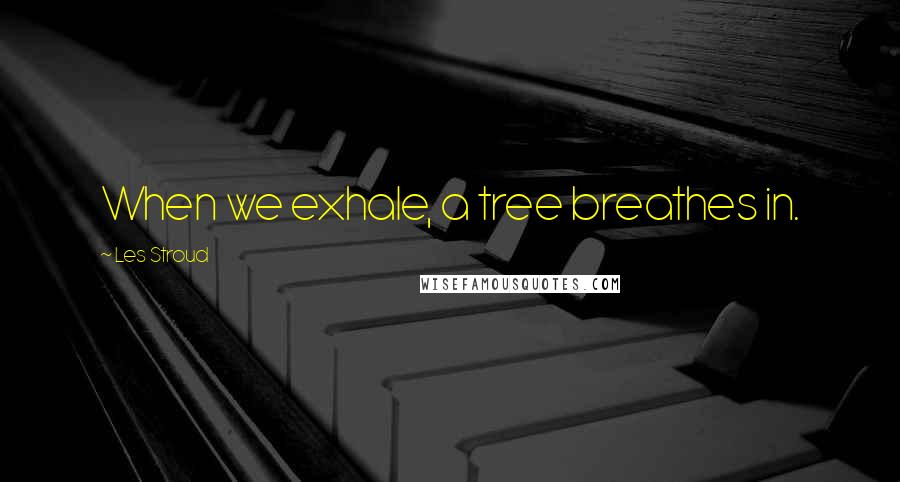 Les Stroud Quotes: When we exhale, a tree breathes in.