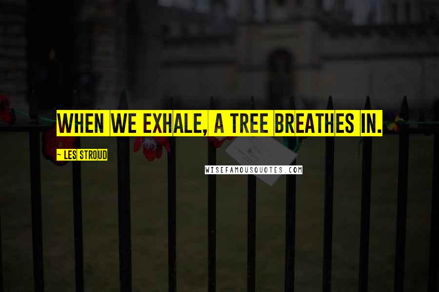Les Stroud Quotes: When we exhale, a tree breathes in.