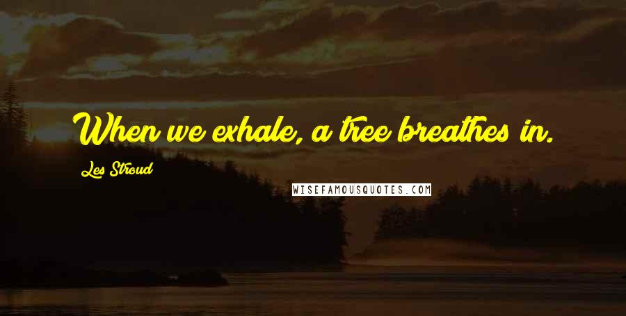 Les Stroud Quotes: When we exhale, a tree breathes in.