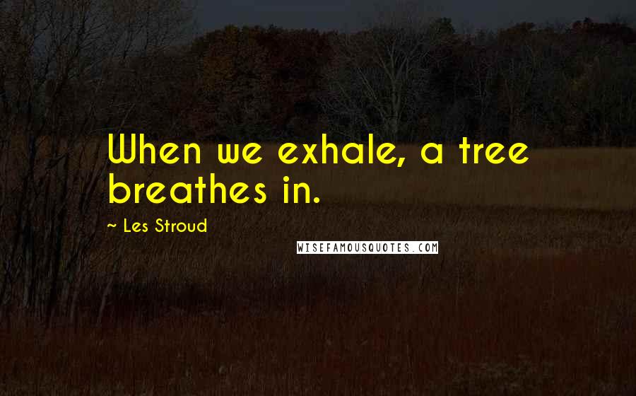 Les Stroud Quotes: When we exhale, a tree breathes in.