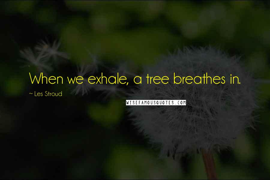 Les Stroud Quotes: When we exhale, a tree breathes in.