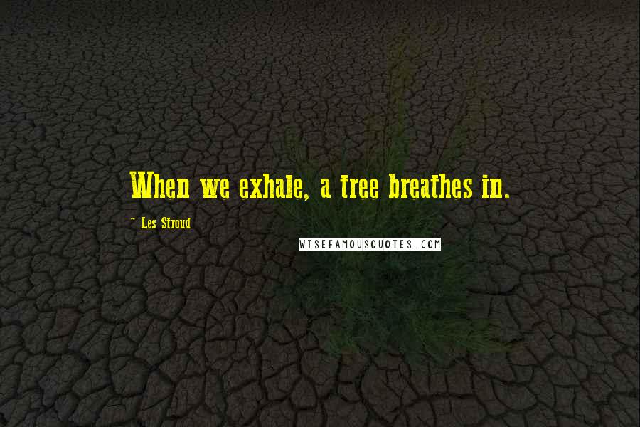 Les Stroud Quotes: When we exhale, a tree breathes in.