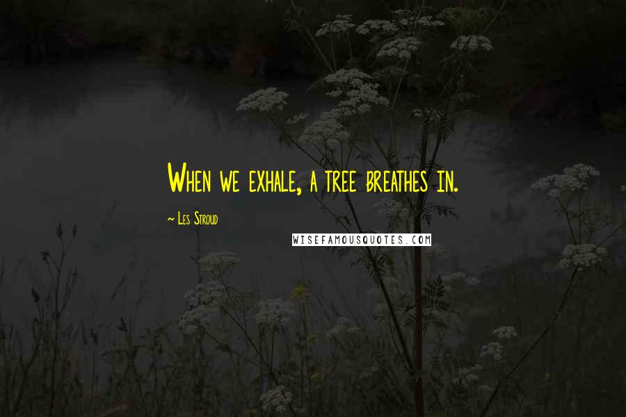 Les Stroud Quotes: When we exhale, a tree breathes in.