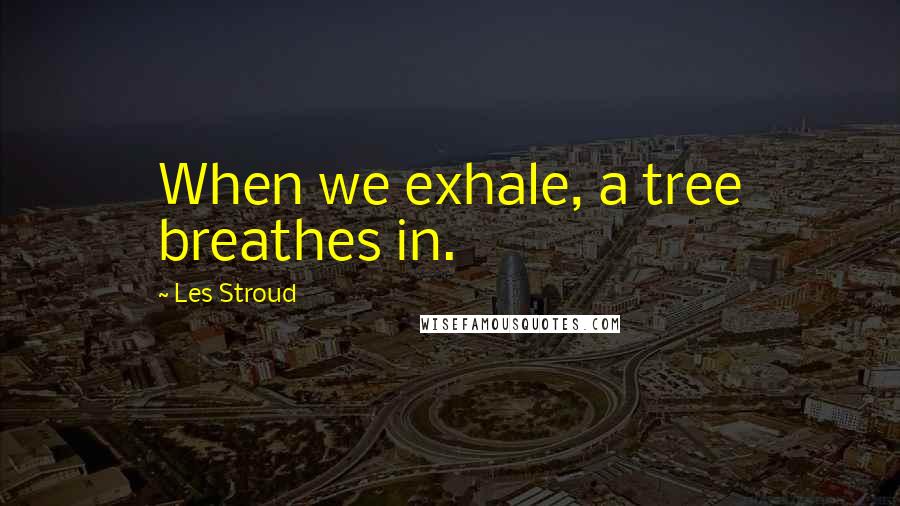Les Stroud Quotes: When we exhale, a tree breathes in.