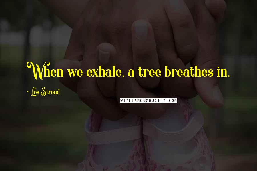 Les Stroud Quotes: When we exhale, a tree breathes in.