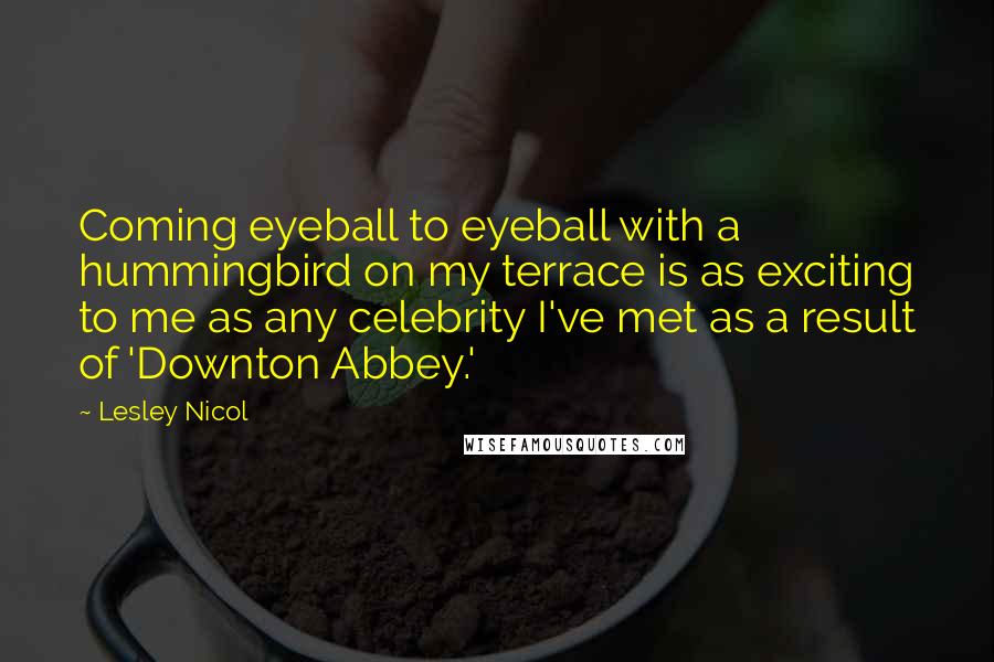 Lesley Nicol Quotes: Coming eyeball to eyeball with a hummingbird on my terrace is as exciting to me as any celebrity I've met as a result of 'Downton Abbey.'