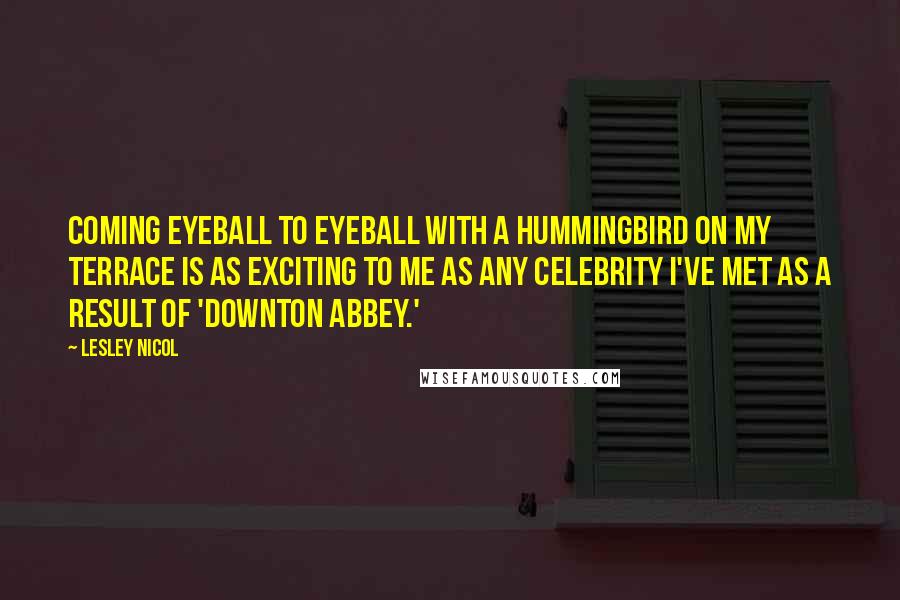 Lesley Nicol Quotes: Coming eyeball to eyeball with a hummingbird on my terrace is as exciting to me as any celebrity I've met as a result of 'Downton Abbey.'