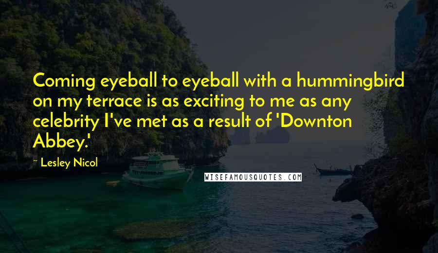 Lesley Nicol Quotes: Coming eyeball to eyeball with a hummingbird on my terrace is as exciting to me as any celebrity I've met as a result of 'Downton Abbey.'