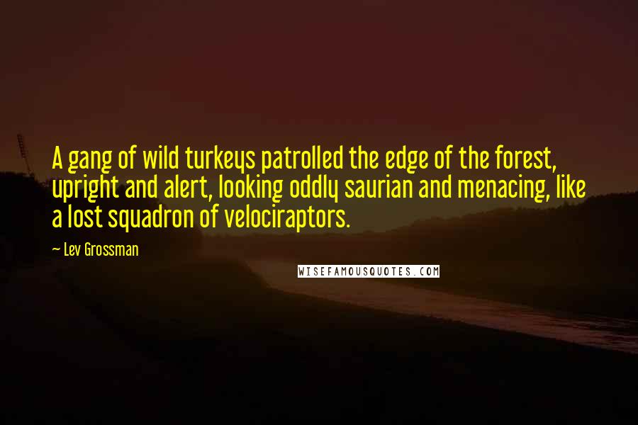 Lev Grossman Quotes: A gang of wild turkeys patrolled the edge of the forest, upright and alert, looking oddly saurian and menacing, like a lost squadron of velociraptors.