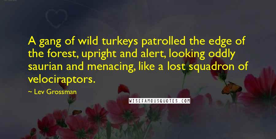 Lev Grossman Quotes: A gang of wild turkeys patrolled the edge of the forest, upright and alert, looking oddly saurian and menacing, like a lost squadron of velociraptors.