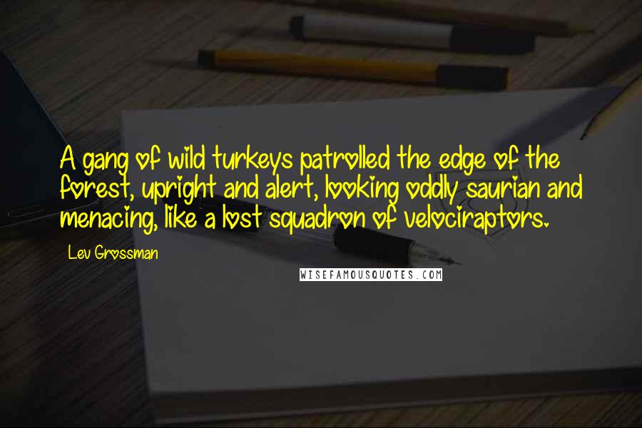 Lev Grossman Quotes: A gang of wild turkeys patrolled the edge of the forest, upright and alert, looking oddly saurian and menacing, like a lost squadron of velociraptors.