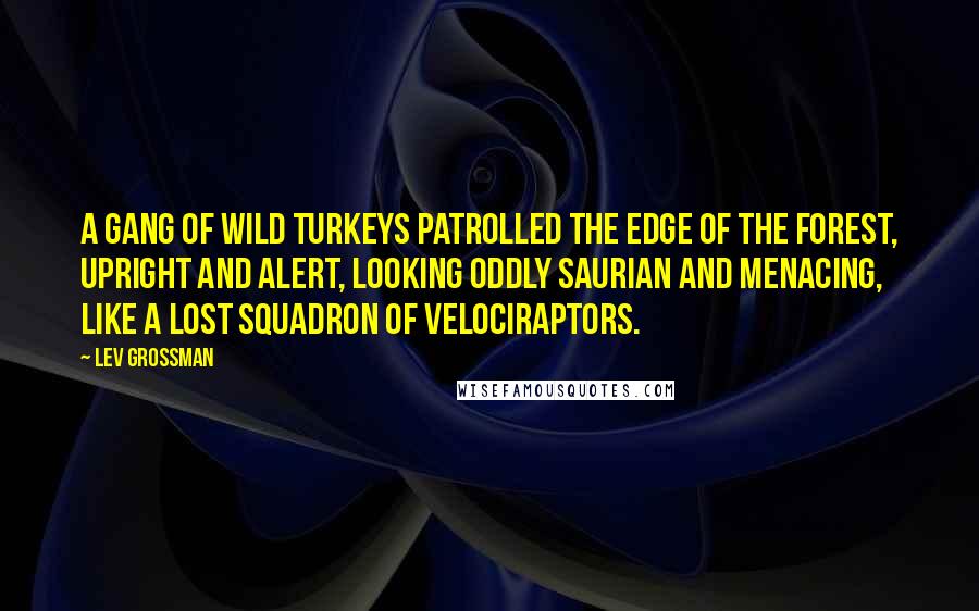 Lev Grossman Quotes: A gang of wild turkeys patrolled the edge of the forest, upright and alert, looking oddly saurian and menacing, like a lost squadron of velociraptors.