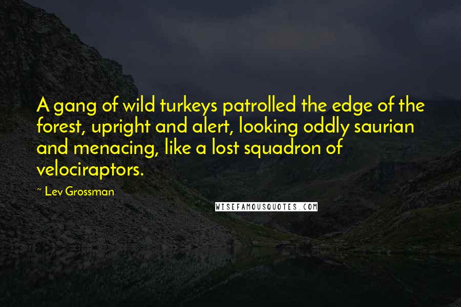 Lev Grossman Quotes: A gang of wild turkeys patrolled the edge of the forest, upright and alert, looking oddly saurian and menacing, like a lost squadron of velociraptors.