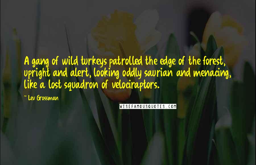 Lev Grossman Quotes: A gang of wild turkeys patrolled the edge of the forest, upright and alert, looking oddly saurian and menacing, like a lost squadron of velociraptors.