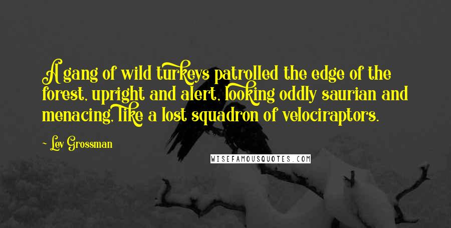 Lev Grossman Quotes: A gang of wild turkeys patrolled the edge of the forest, upright and alert, looking oddly saurian and menacing, like a lost squadron of velociraptors.