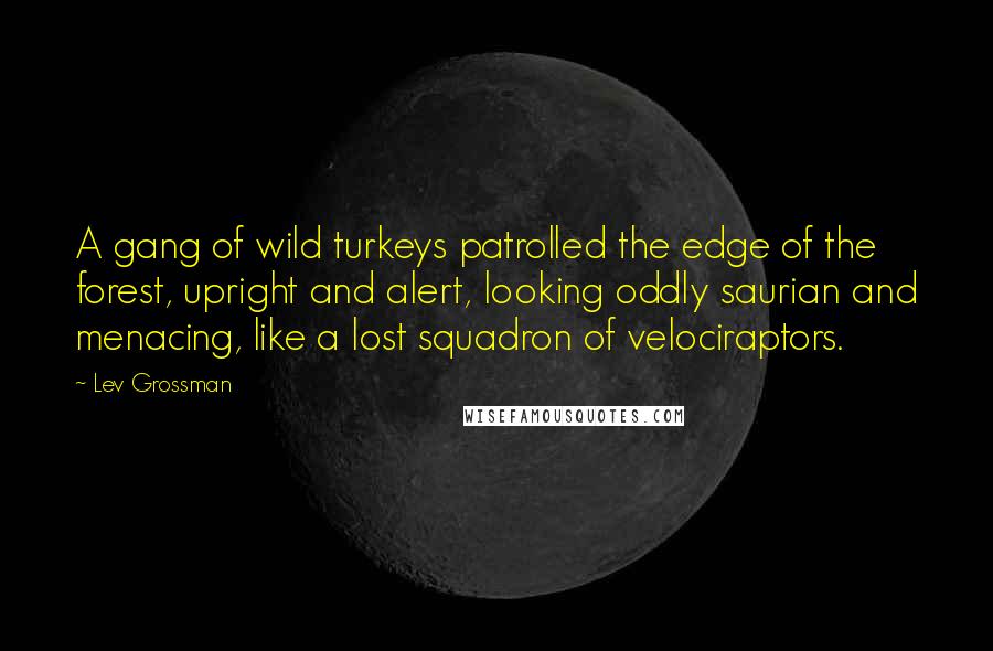 Lev Grossman Quotes: A gang of wild turkeys patrolled the edge of the forest, upright and alert, looking oddly saurian and menacing, like a lost squadron of velociraptors.