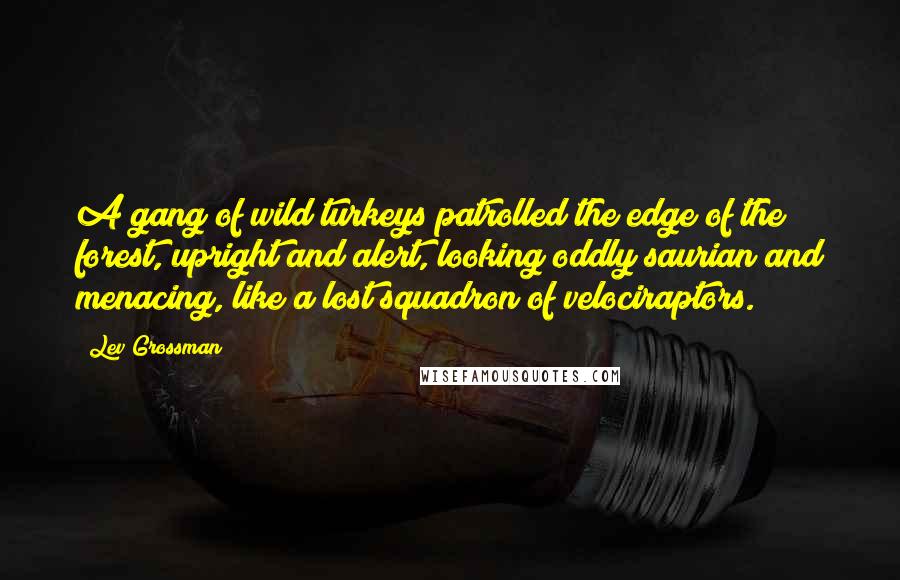 Lev Grossman Quotes: A gang of wild turkeys patrolled the edge of the forest, upright and alert, looking oddly saurian and menacing, like a lost squadron of velociraptors.