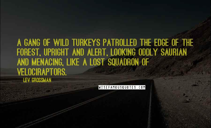 Lev Grossman Quotes: A gang of wild turkeys patrolled the edge of the forest, upright and alert, looking oddly saurian and menacing, like a lost squadron of velociraptors.