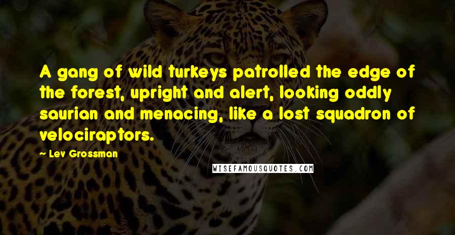 Lev Grossman Quotes: A gang of wild turkeys patrolled the edge of the forest, upright and alert, looking oddly saurian and menacing, like a lost squadron of velociraptors.