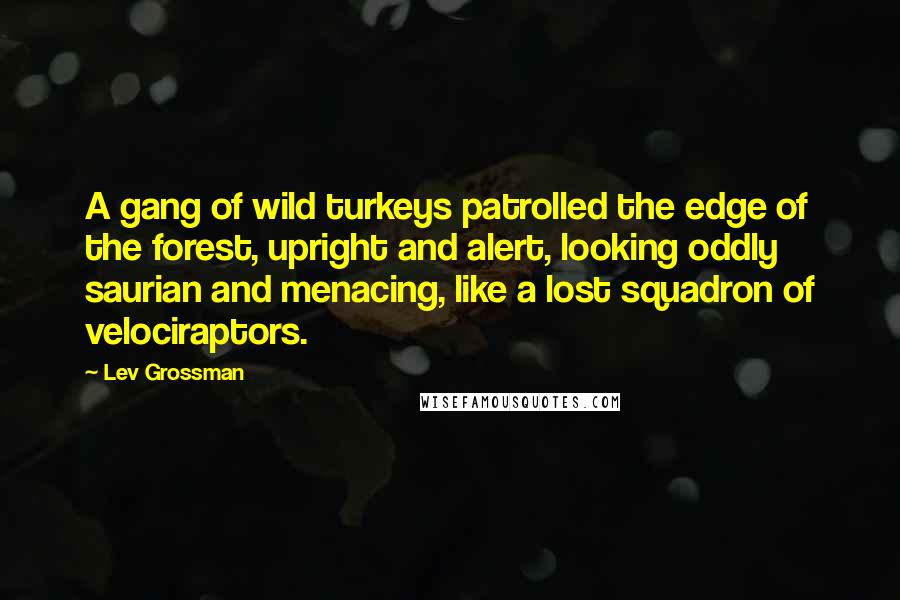 Lev Grossman Quotes: A gang of wild turkeys patrolled the edge of the forest, upright and alert, looking oddly saurian and menacing, like a lost squadron of velociraptors.