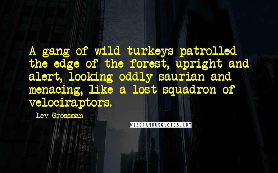 Lev Grossman Quotes: A gang of wild turkeys patrolled the edge of the forest, upright and alert, looking oddly saurian and menacing, like a lost squadron of velociraptors.