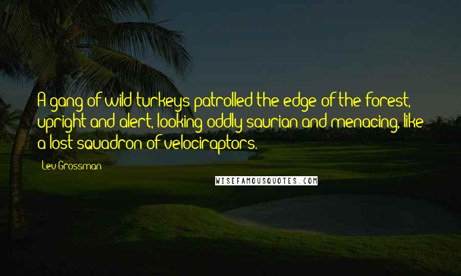 Lev Grossman Quotes: A gang of wild turkeys patrolled the edge of the forest, upright and alert, looking oddly saurian and menacing, like a lost squadron of velociraptors.
