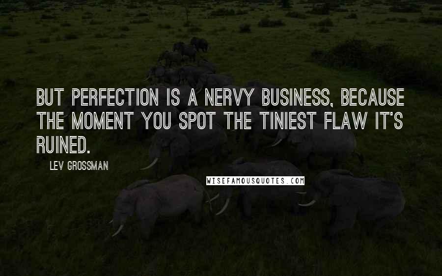 Lev Grossman Quotes: But perfection is a nervy business, because the moment you spot the tiniest flaw it's ruined.