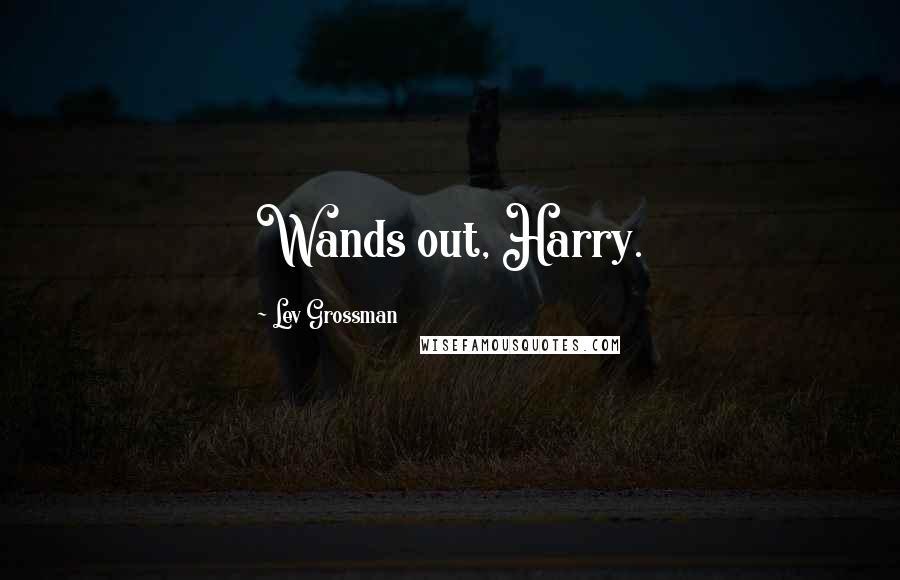 Lev Grossman Quotes: Wands out, Harry.