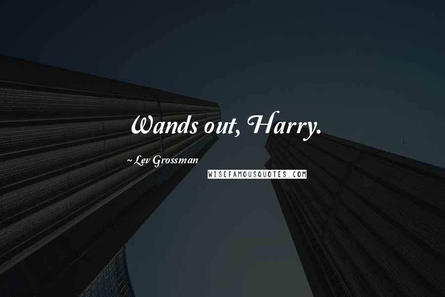 Lev Grossman Quotes: Wands out, Harry.