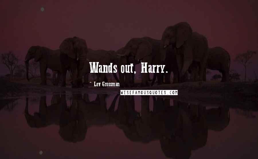 Lev Grossman Quotes: Wands out, Harry.