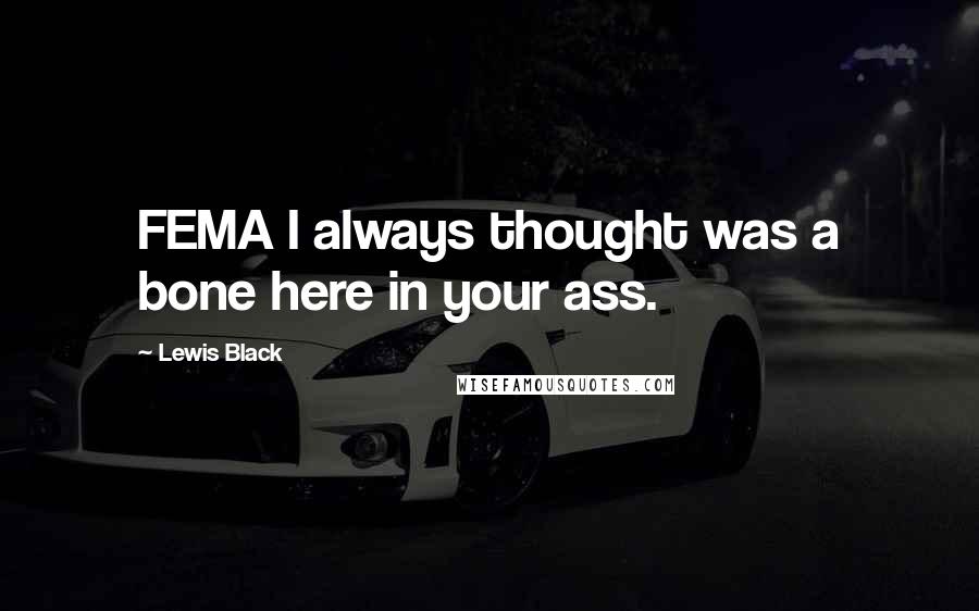 Lewis Black Quotes: FEMA I always thought was a bone here in your ass.