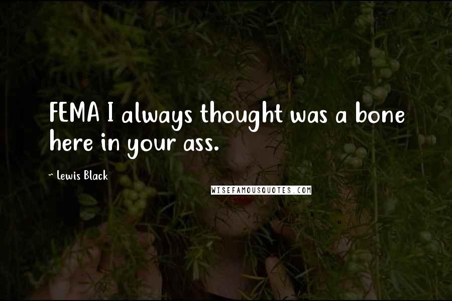 Lewis Black Quotes: FEMA I always thought was a bone here in your ass.