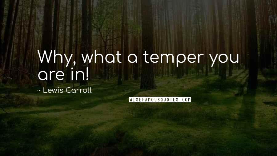 Lewis Carroll Quotes: Why, what a temper you are in!