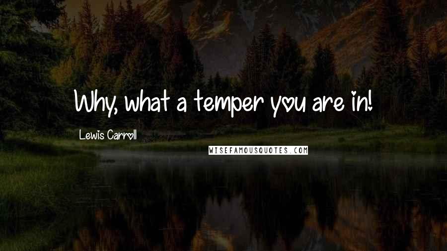 Lewis Carroll Quotes: Why, what a temper you are in!