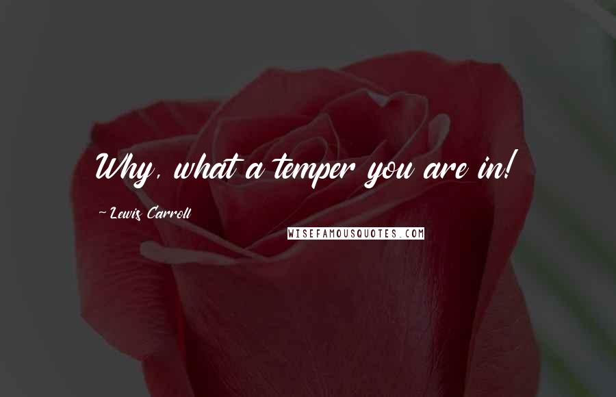 Lewis Carroll Quotes: Why, what a temper you are in!