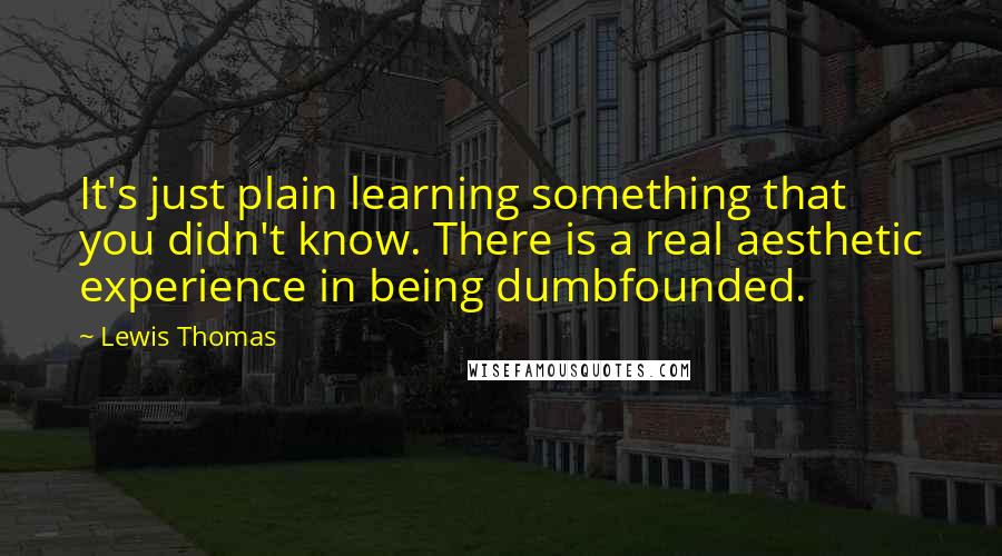 Lewis Thomas Quotes: It's just plain learning something that you didn't know. There is a real aesthetic experience in being dumbfounded.