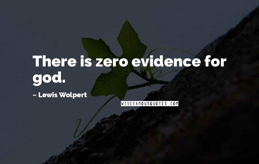 Lewis Wolpert Quotes: There is zero evidence for god.
