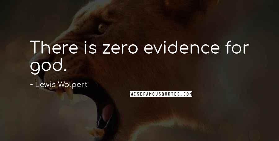 Lewis Wolpert Quotes: There is zero evidence for god.