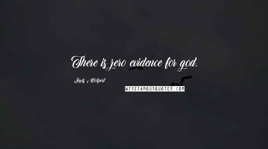 Lewis Wolpert Quotes: There is zero evidence for god.
