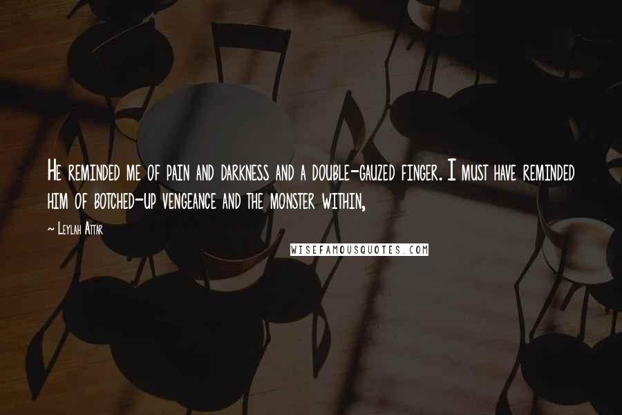 Leylah Attar Quotes: He reminded me of pain and darkness and a double-gauzed finger. I must have reminded him of botched-up vengeance and the monster within,