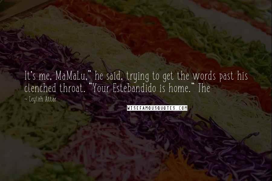 Leylah Attar Quotes: It's me, MaMaLu," he said, trying to get the words past his clenched throat. "Your Estebandido is home." The