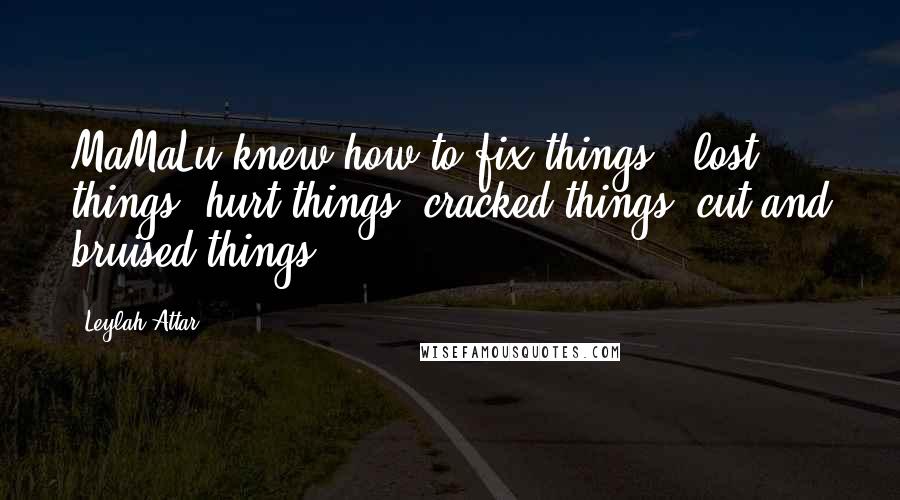 Leylah Attar Quotes: MaMaLu knew how to fix things - lost things, hurt things, cracked things, cut and bruised things.