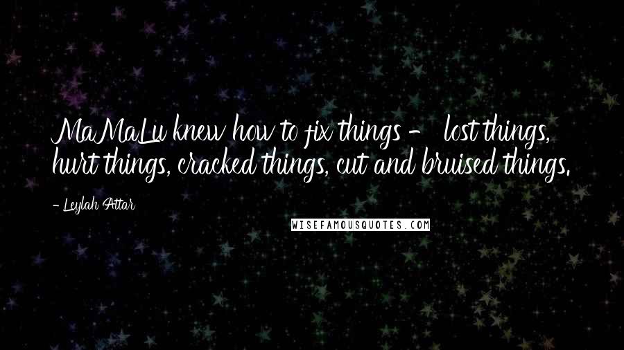 Leylah Attar Quotes: MaMaLu knew how to fix things - lost things, hurt things, cracked things, cut and bruised things.