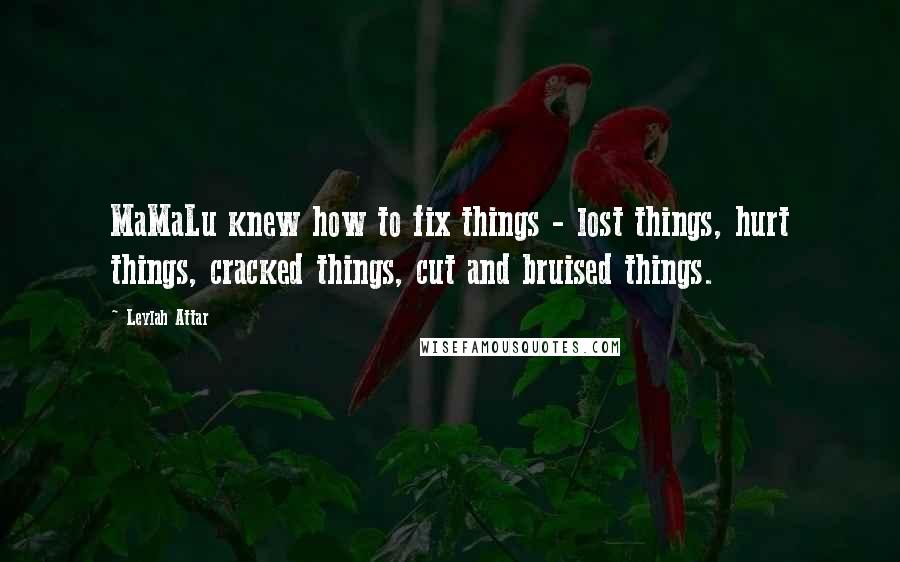 Leylah Attar Quotes: MaMaLu knew how to fix things - lost things, hurt things, cracked things, cut and bruised things.