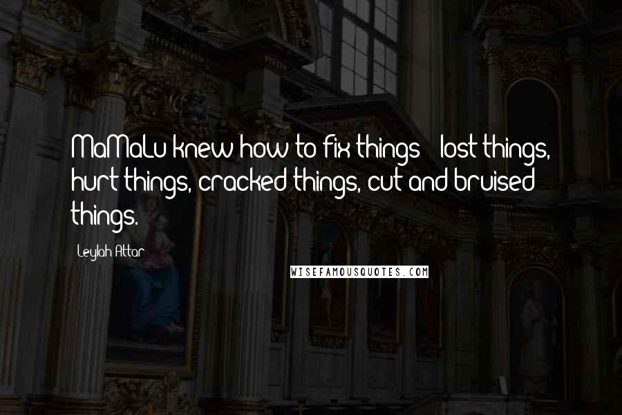 Leylah Attar Quotes: MaMaLu knew how to fix things - lost things, hurt things, cracked things, cut and bruised things.