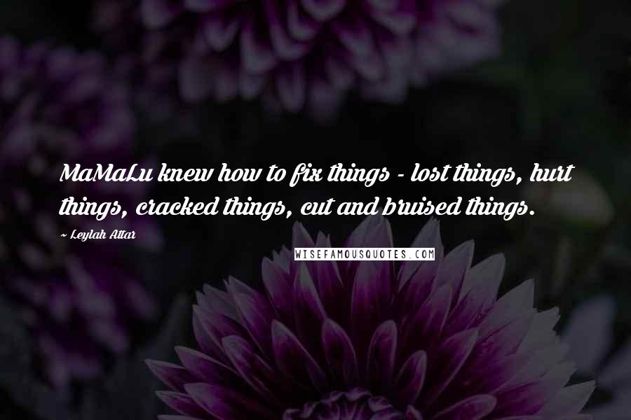 Leylah Attar Quotes: MaMaLu knew how to fix things - lost things, hurt things, cracked things, cut and bruised things.