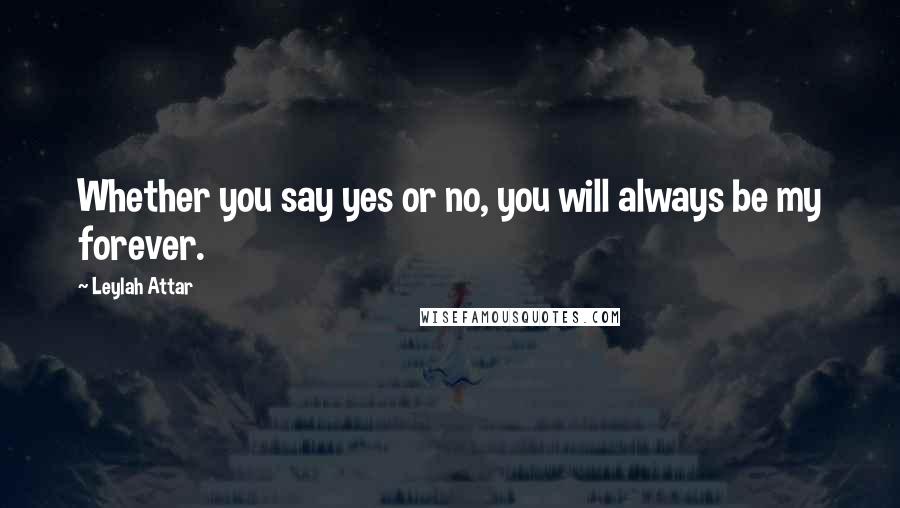 Leylah Attar Quotes: Whether you say yes or no, you will always be my forever.