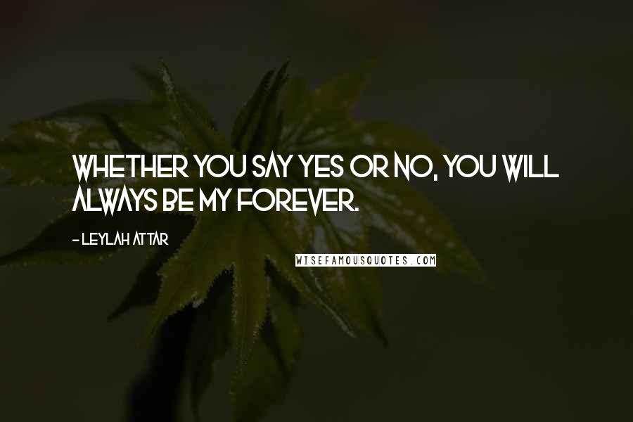 Leylah Attar Quotes: Whether you say yes or no, you will always be my forever.