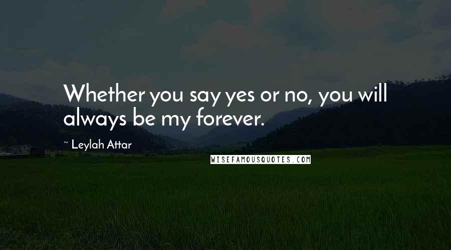 Leylah Attar Quotes: Whether you say yes or no, you will always be my forever.