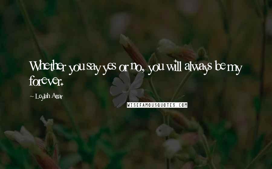 Leylah Attar Quotes: Whether you say yes or no, you will always be my forever.